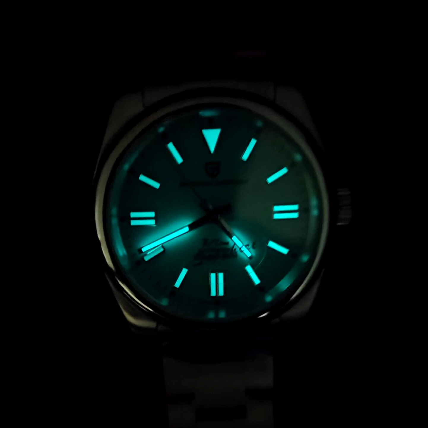 PAGANI DESIGN 럭셔리 클래식 남성용 기계식  - Seiko Watch Prospex 리뷰 및 가격